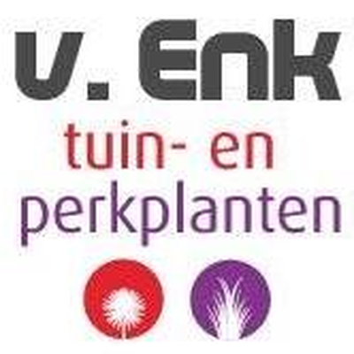 Van Enk tuin en perkplanten