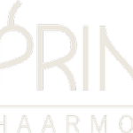 logo-prinshaarmode